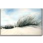 Preview: Stretcher frame canvas 40 x 30 cm linen Watercolor Maritime Art Print Denmark North Sea Baltic Sea Dune Dunes Beach Seagull Seagulls